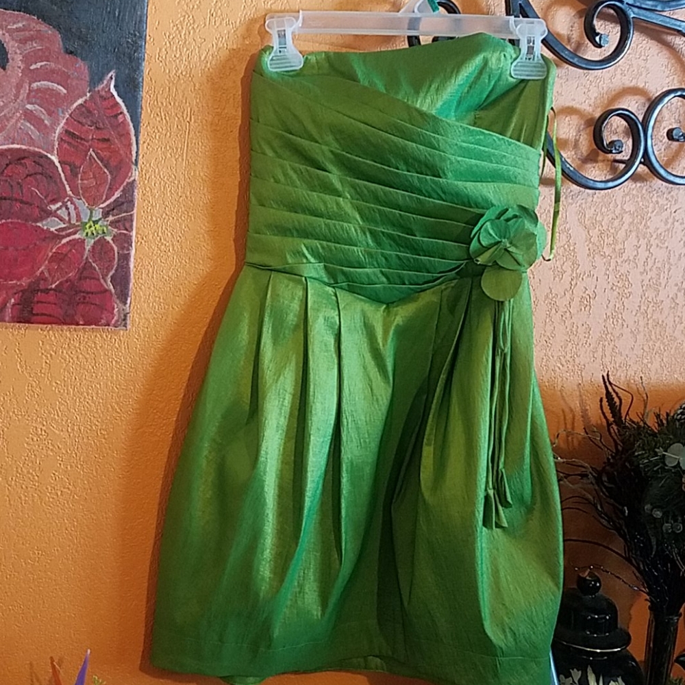 Poly usa dress